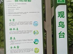 -三水森林公园