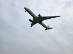 -空港花田景区