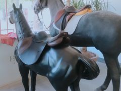 -月河湾马术俱乐部(朝阳店)