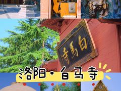 -洛阳白马寺