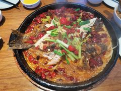 -老板恋上鱼(恒隆广场店)