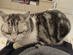 -达爱动物医院·犬猫分区·CT·复杂眼科(远洋山水分院)