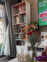 -哈颜科技轻美·