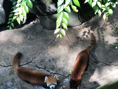 -昆明动物园