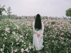 -尚贤河湿地