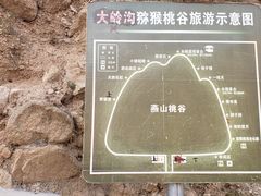 -大岭沟猕猴桃谷风景区