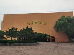 -太阳部落