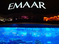 -迪拜水族馆及水下动物园