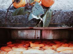 -鹿亭中村