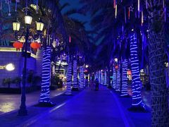 -三亚海昌梦幻海洋不夜城