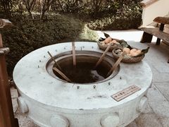 -苏州湾王焰温泉度假酒店