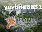 -上海中医药大学附属曙光医院(东部)