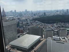 -东京都厅舍