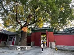 -历代帝王庙博物馆