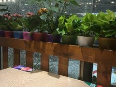 -正禾鲜·潮汕牛肉火锅(凯德天府店)
