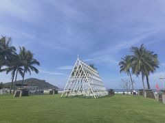 -采悦轩中餐厅·粤菜·海南菜(神州半岛喜来登度假酒店)