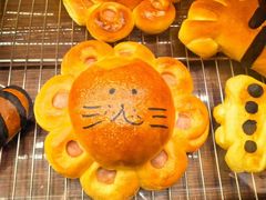 -乡田小墅(展览馆路JK FUN商城店)
