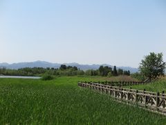 -野鸭湖国家湿地公园