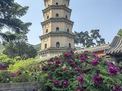 -晋祠公园