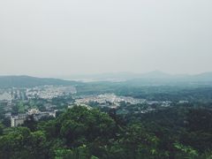 -浙江大学(玉泉校区)