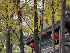 -大慈恩寺(大雁塔)