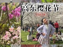 -高东镇樱花园