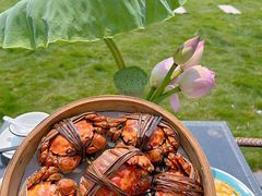 -七的湖·晚芳亭·阳澄湖农家菜·大闸蟹(莲花岛店)