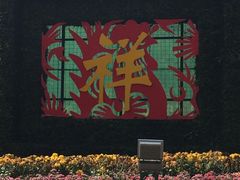 -金山植物公园