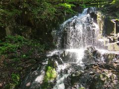 -本溪汤沟绿石谷森林公园