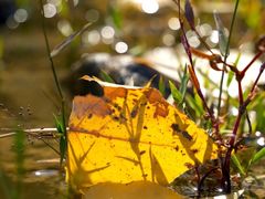 -于家石头村景区
