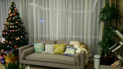 -松和日式美容整骨