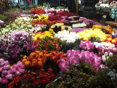-双季花艺园艺市场(浦东店)