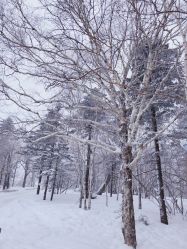 -大秃顶子山