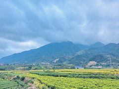 -杨家堂村
