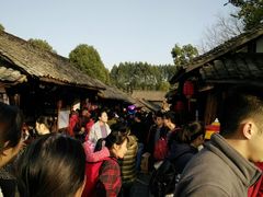 -秀丽东方