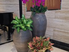 -上海浦东嘉里大酒店