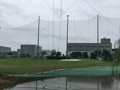 -九里河湿地公园