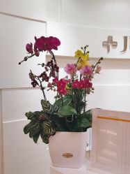 -JUVA欧华医美连锁
