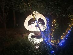 -台儿庄古城