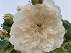 -胡安之家烤肉馆