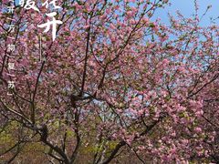 -衣裳街历史文化街区