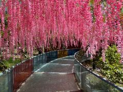 -十渡东湖港风景区
