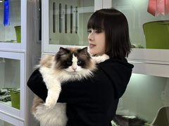 -青奢宠物·青奢猫舍