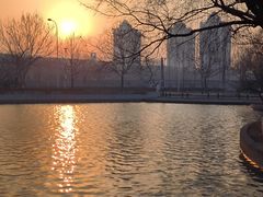-泰丰公园