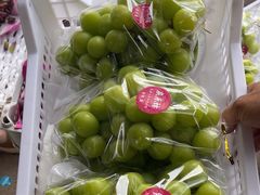 -马陆小张葡萄园农家乐