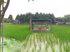 -洪湖家庭农场·团建·露营·会议