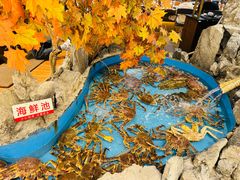-耕海蟹将军(万象城店)
