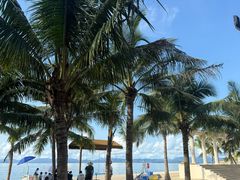 -玫瑰海岸文化旅游度假区