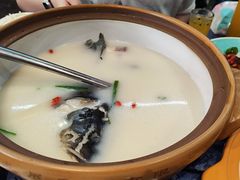 -桃鲤·风味民间家宴淳鱼馆(千岛湖店)