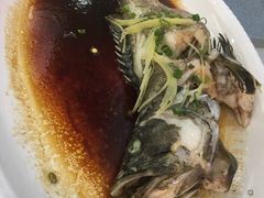 清蒸珍珠斑-新享乐海鲜(翠华路店)